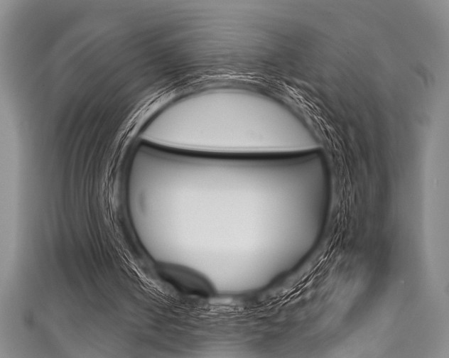 X0000111790050200907230957