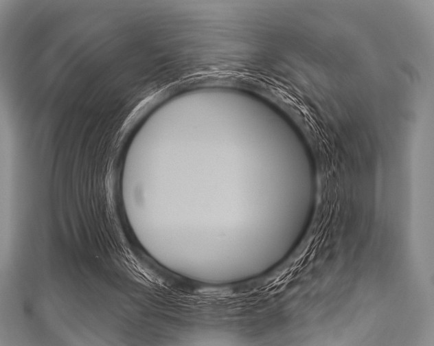 X0000111790051200907230957