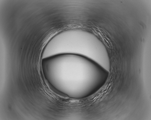 X0000111790052200907230957