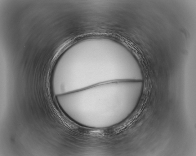 X0000111790053200907230957