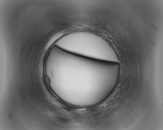 X0000111790054200907230957