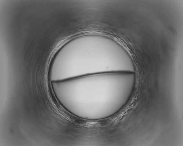 X0000111790055200907230957