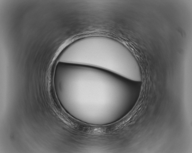 X0000111790056200907230957