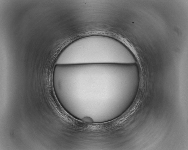 X0000111790057200907230957