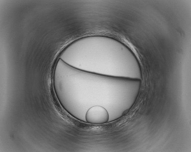 X0000111790059200907230957