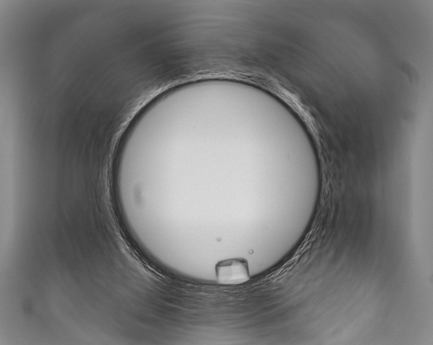 X0000111790060200907230957