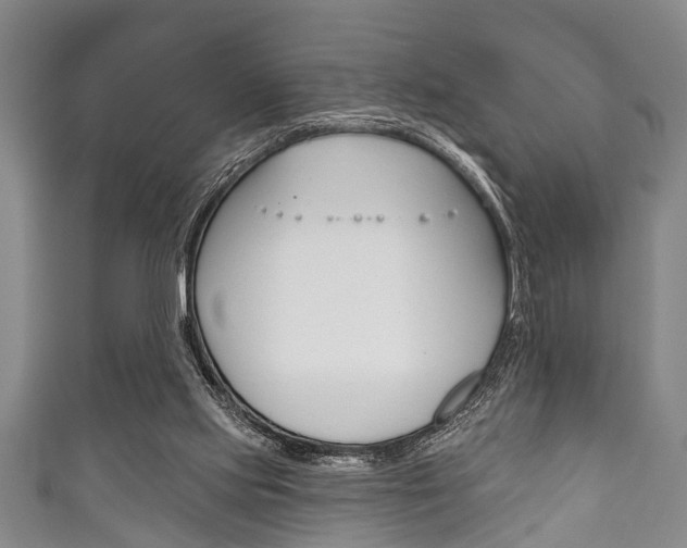 X0000111790061200907230957