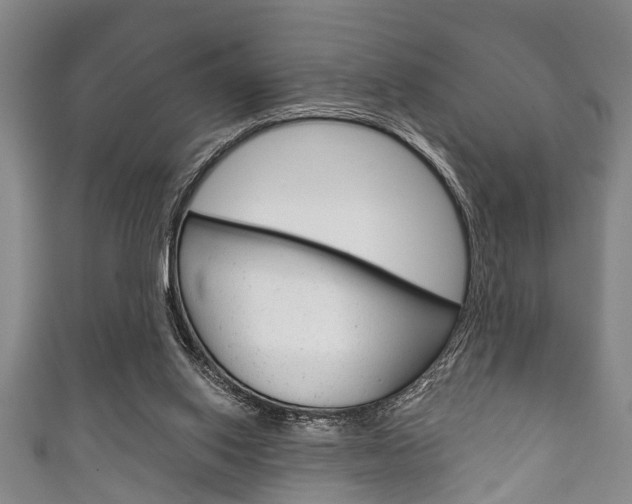 X0000111790062200907230957