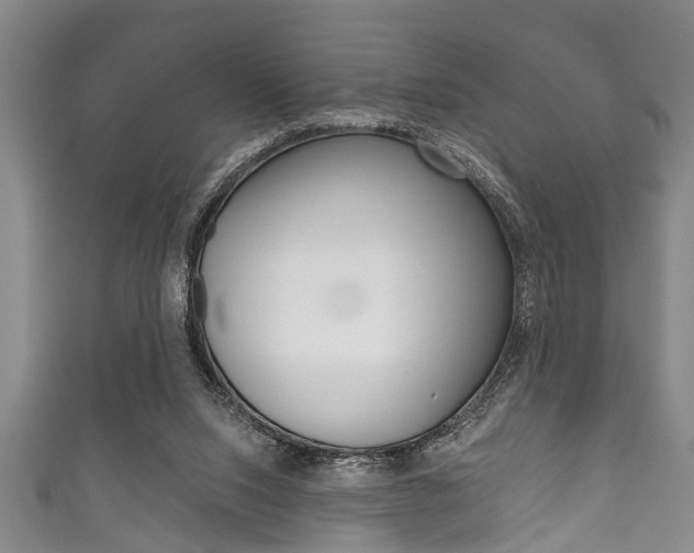 X0000111790064200907230957
