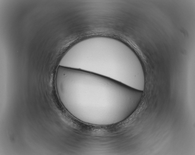 X0000111790066200907230957