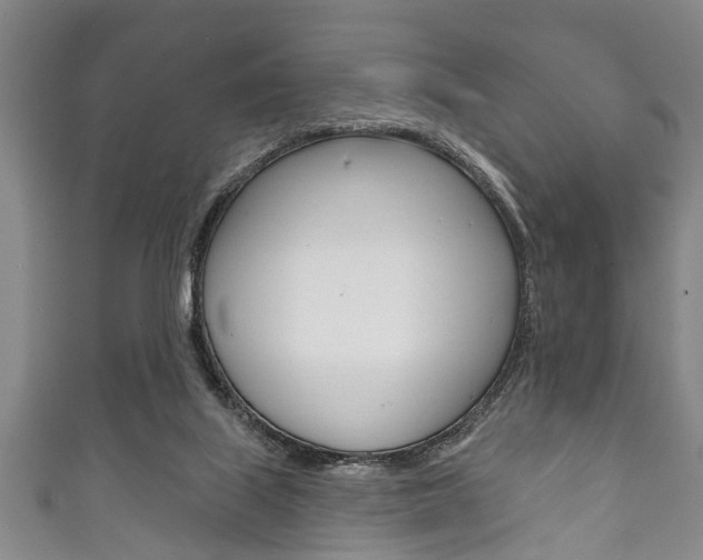 X0000111790067200907230957