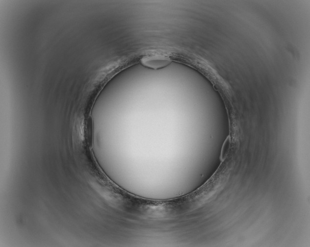 X0000111790068200907230957