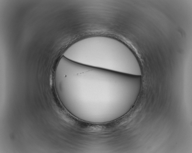 X0000111790069200907230957
