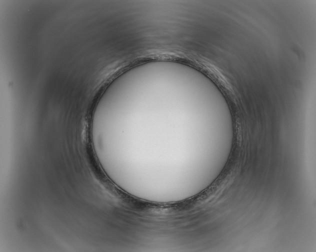 X0000111790071200907230957