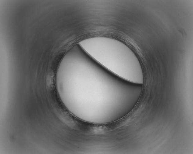 X0000111790073200907230957