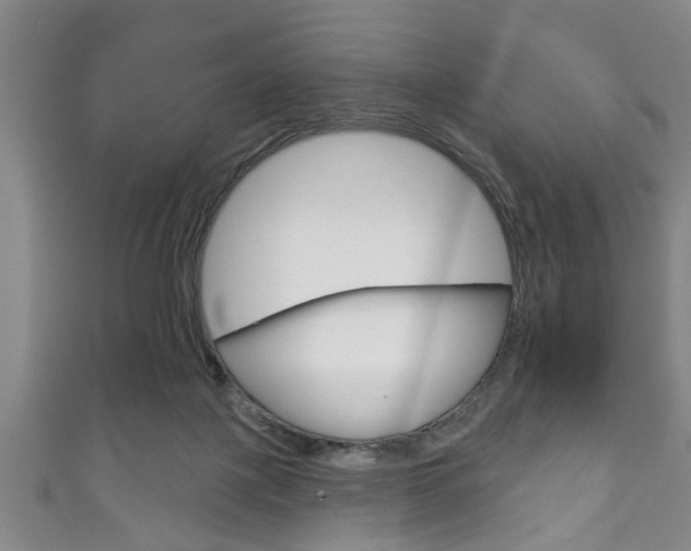 X0000111790075200907230957