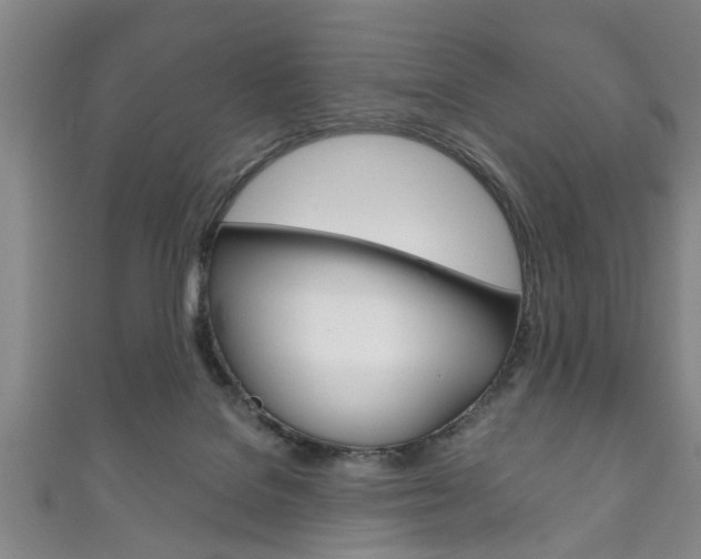 X0000111790076200907230957