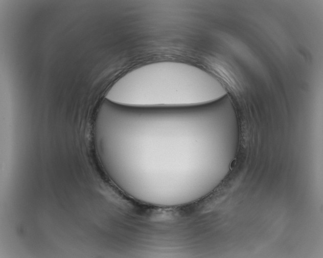 X0000111790077200907230957