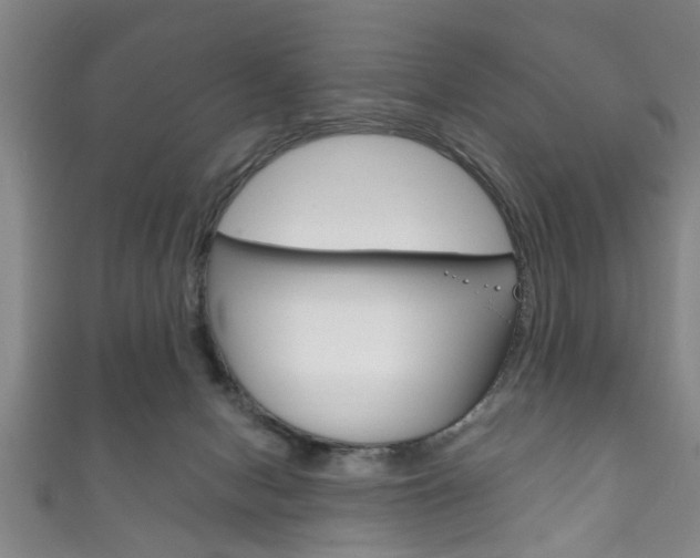 X0000111790078200907230957