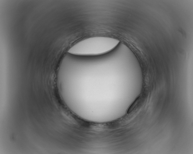 X0000111790079200907230957