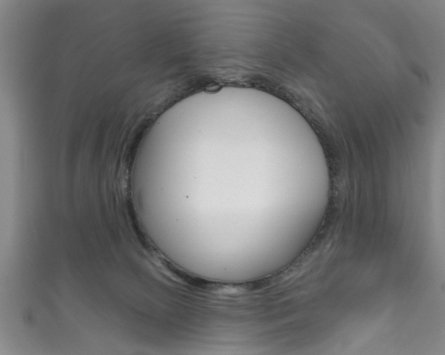 X0000111790081200907230957