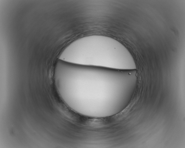 X0000111790082200907230957