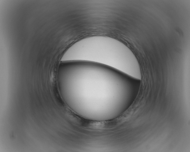 X0000111790084200907230957