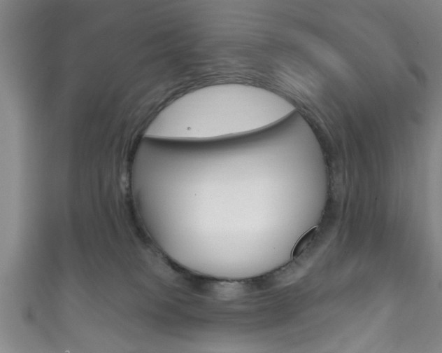 X0000111790085200907230957