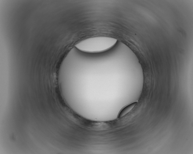 X0000111790087200907230957