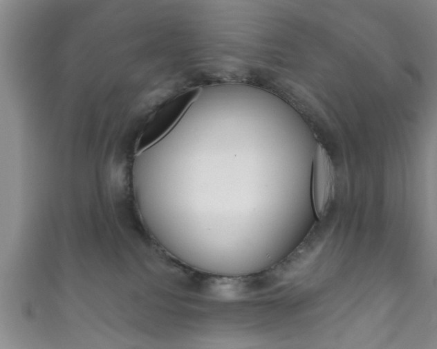 X0000111790088200907230957