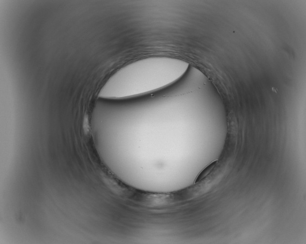 X0000111790089200907230957