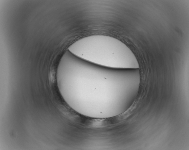 X0000111790090200907230957