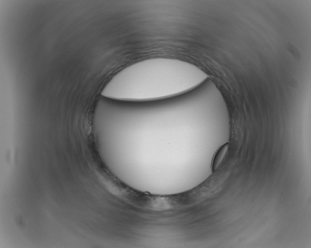 X0000111790091200907230957