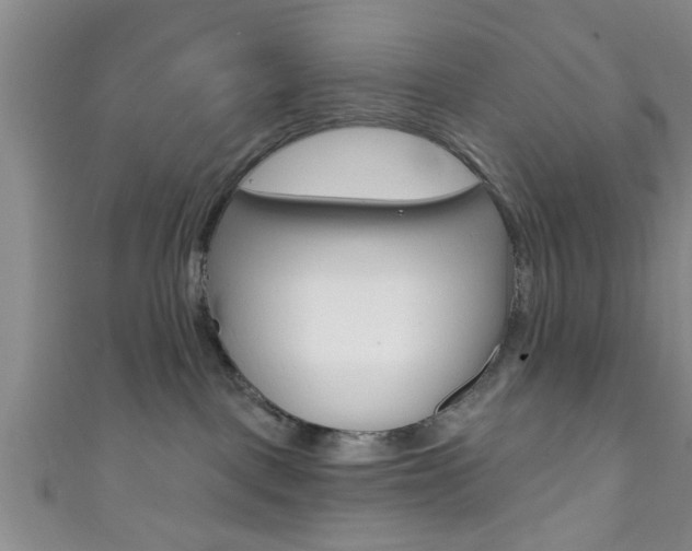 X0000111790093200907230957