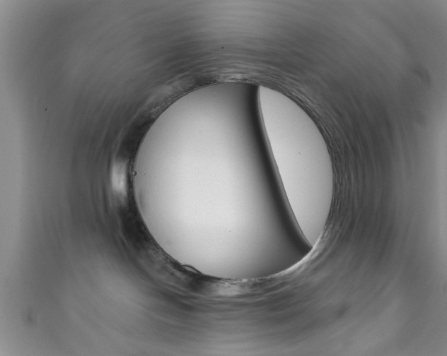 X0000111790094200907230957