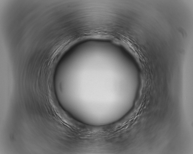 X0000111790097200907230957