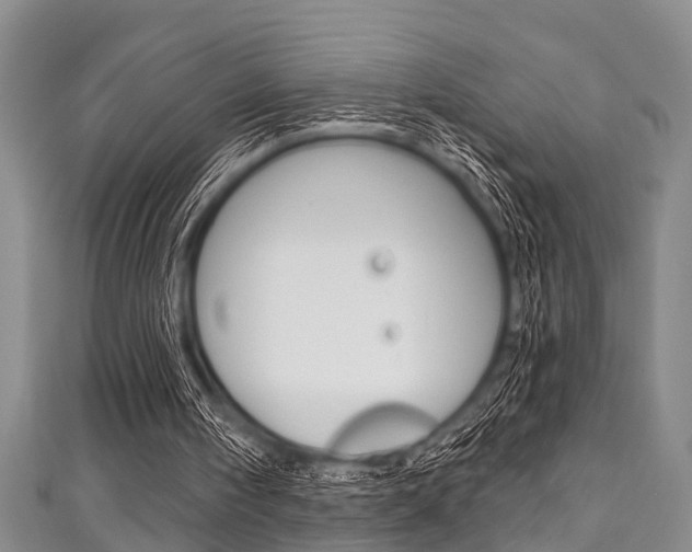 X0000111790098200907230957