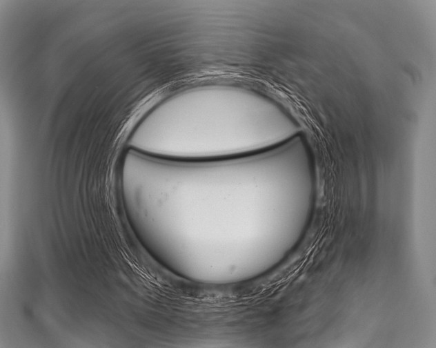 X0000111790099200907230957