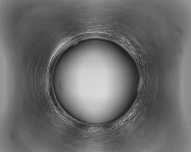 X0000111790101200907230957