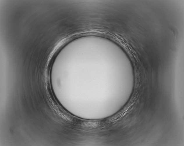 X0000111790102200907230957