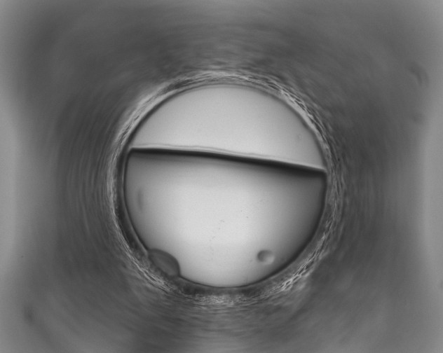 X0000111790103200907230957