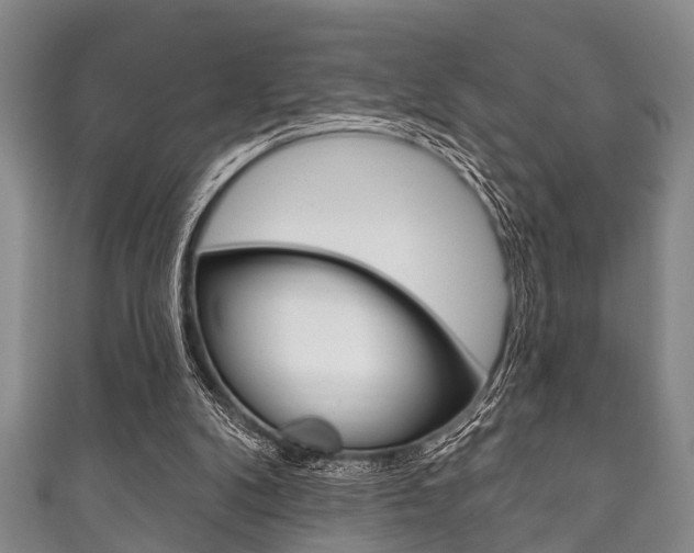 X0000111790104200907230957