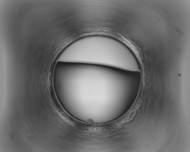 X0000111790105200907230957