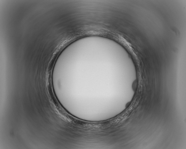 X0000111790106200907230957