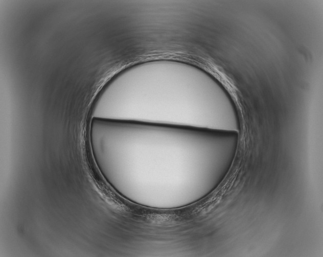 X0000111790107200907230957
