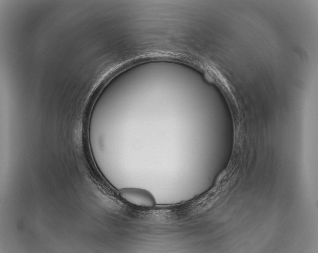 X0000111790108200907230957