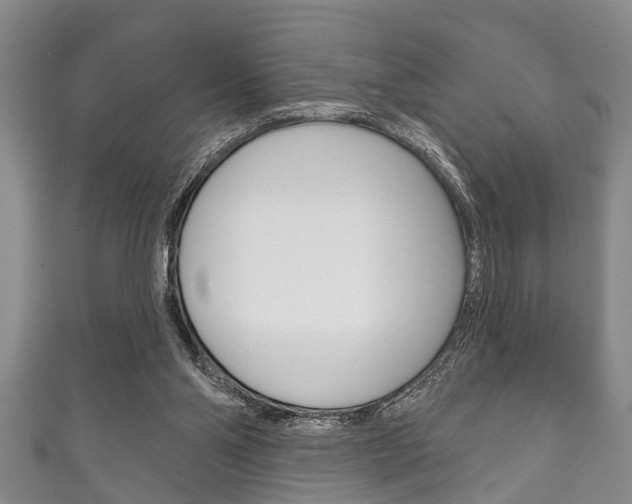 X0000111790110200907230957