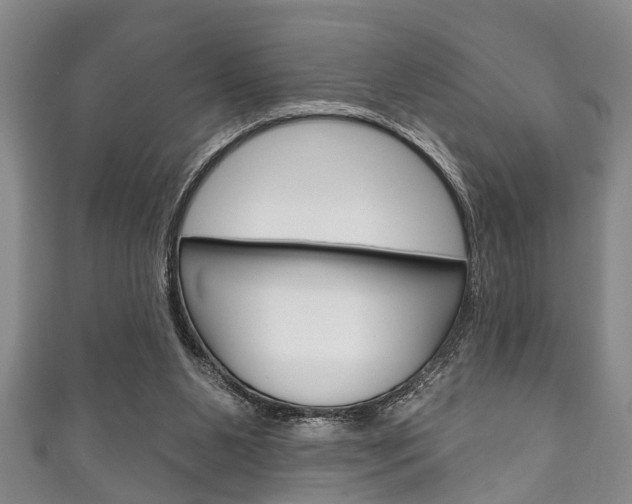 X0000111790111200907230957