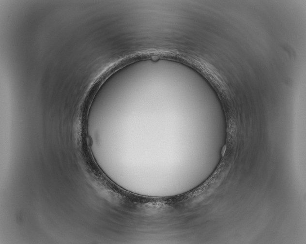 X0000111790112200907230957