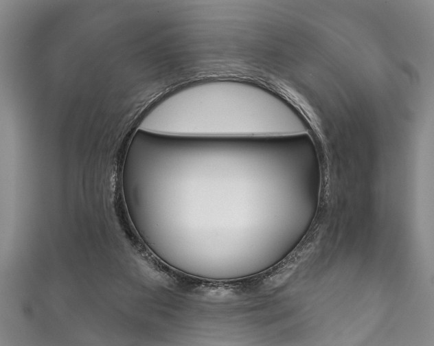X0000111790113200907230957